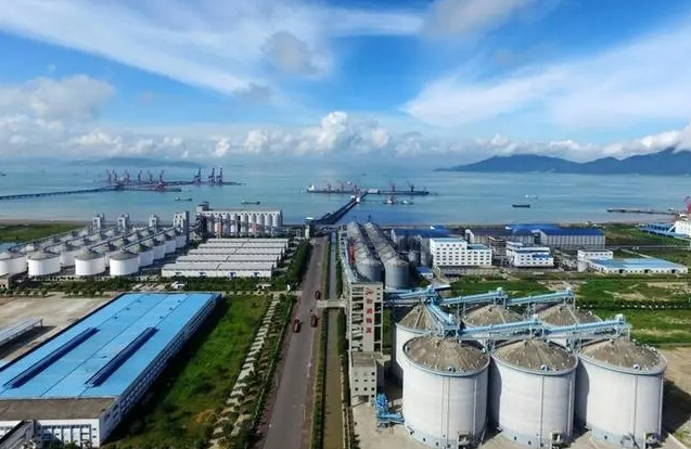 Zhoushan to build major integrated grain logistics hub