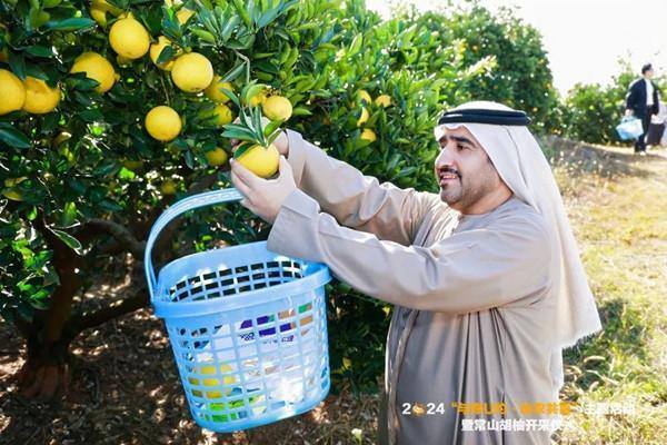 Changshan's grapefruit industry secures major orders