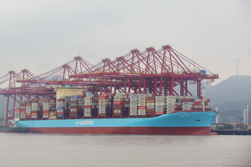 Jiaxing's foreign trade up 10.1% in first seven months