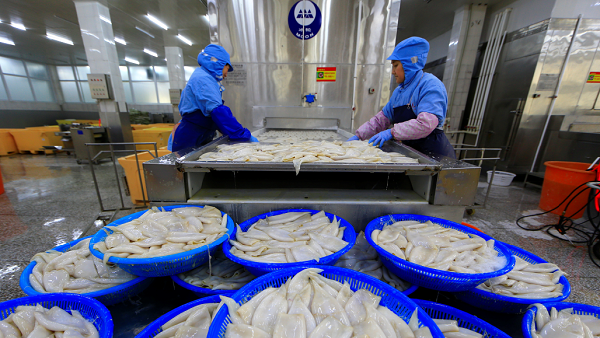 Zhoushan cultivates 10 local product industrial chains to boost island economy