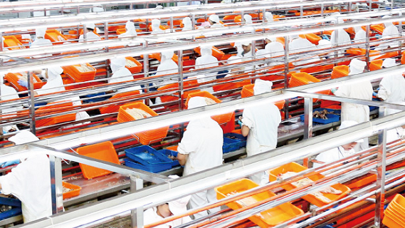 Zhoushan exporters benefit from China-Serbia Free Trade Agreement