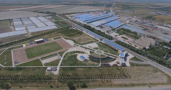 Wenzhou enterprise's 15-year journey in Uzbekistan