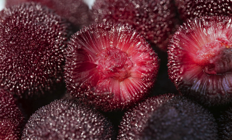 Ningbo's greenhouse waxberries hit sales peak with digital boost