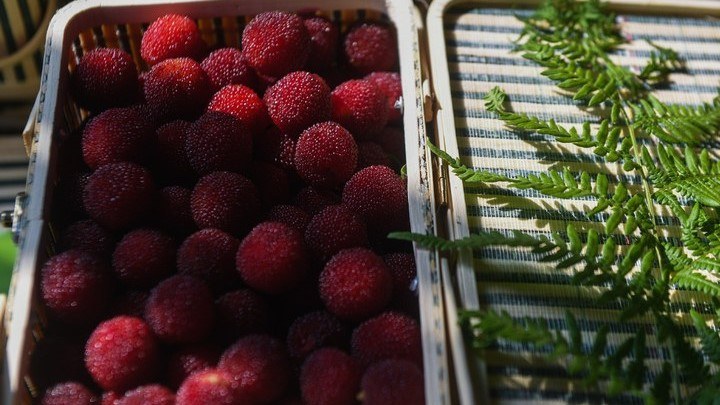 Cixi waxberry makes sweet arrival in Dubai