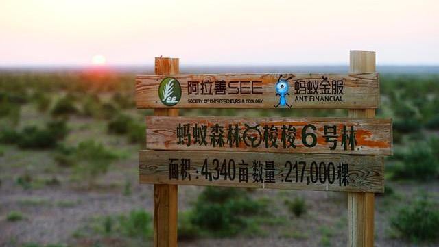 Ant Forest named UN Champions of the Earth award, the United Nation's highest environmental honor