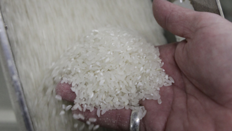 China allows U.S. rice imports