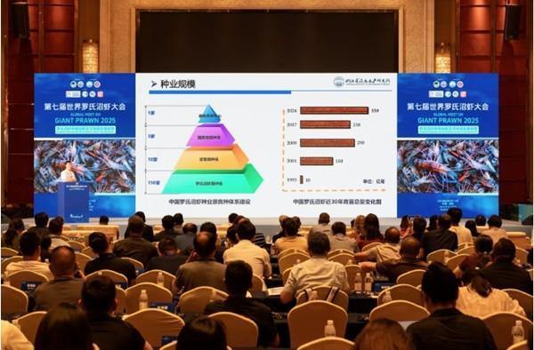 Huzhou leads China's giant freshwater prawn industry