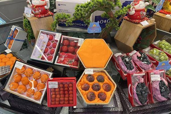 Jiaxing plums debut in Dubai, spark demand across Middle East