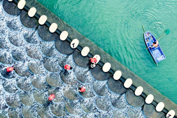 Huzhou leads the way in innovating water governance