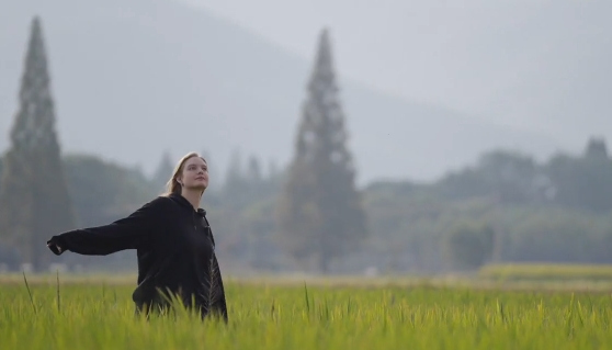 Experience Xiaogucheng village, a model of common prosperity