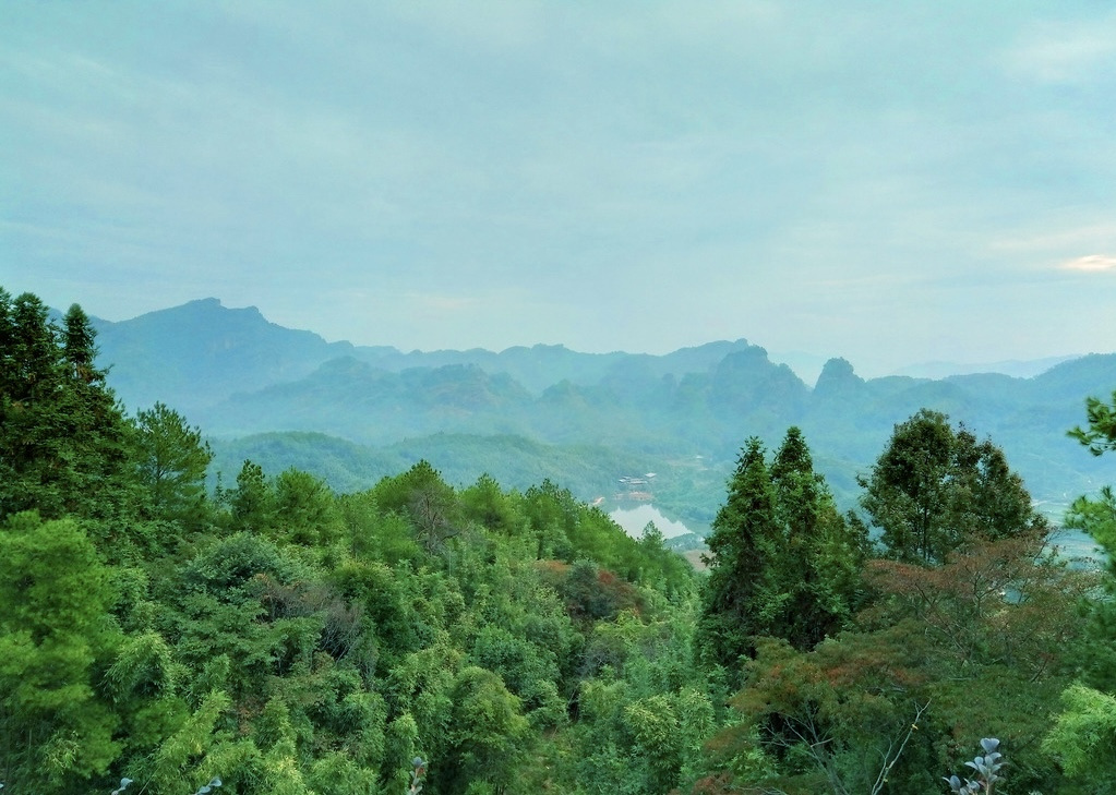 China takes lead in wetland restoration