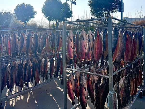 Savory dried black carp evokes Spring Festival vibe