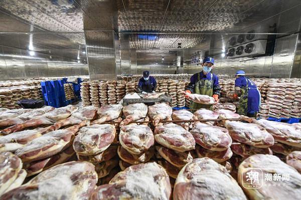 Golden season for curing Jinhua ham begins