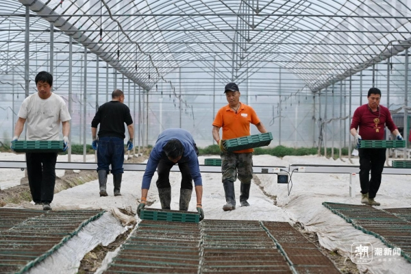 Jinhua embraces digital technology for agricultural practices