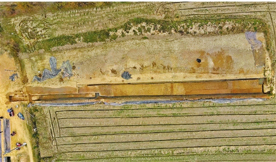 Zhejiang discovers one of world's earliest rice fields