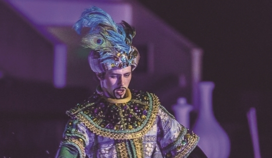 Russian ice ballet transforms theater into enchanted rink in Wenzhou