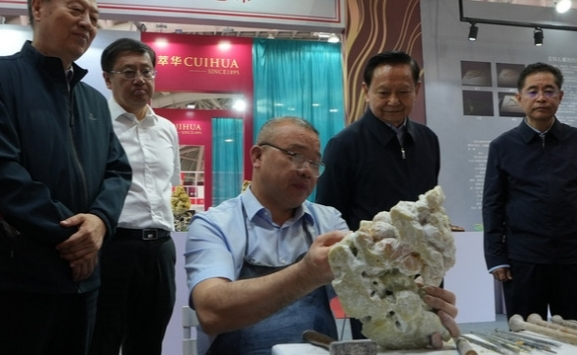 Qingtian stone carvings shine at China Arts & Crafts Expo
