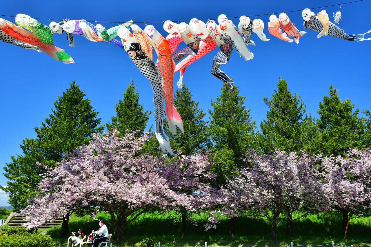 Zhejiang Art Museum launches photography exhibition on the natural beauty of Japan's Tochigi