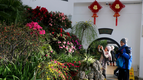 “Qinggong”, the Chinese-style Art of Life For New Year  岁朝清供 一瓶春色