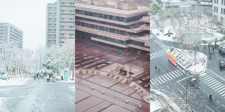 Graduates from Hangzhou Normal University document their four-year campus life with over 6,000 photos
