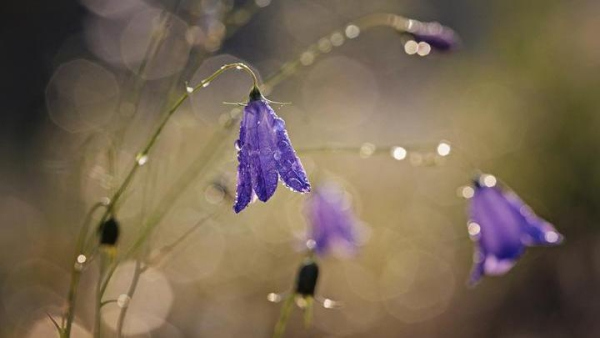 In Pictures | Start of Autumn