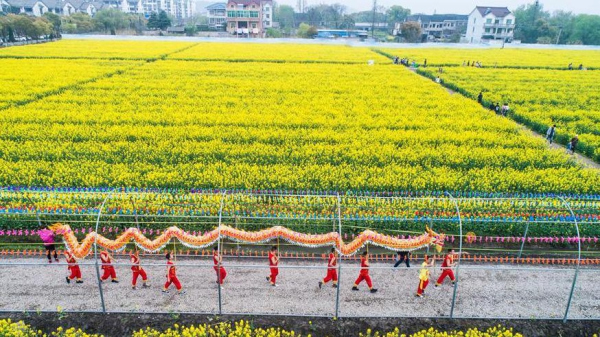 Cole flower tourism festival kicks off in Huzhou