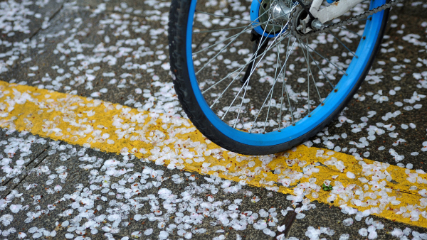 Capture the signs of spring in Jinhua