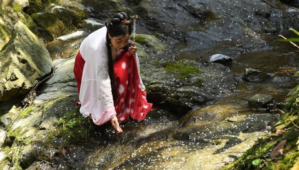 Scenery of wild cherry flowers in Tonglu