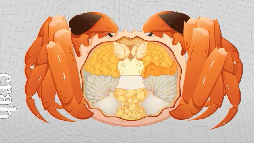 How to eat all the meat from a crab? Let's dissect it!