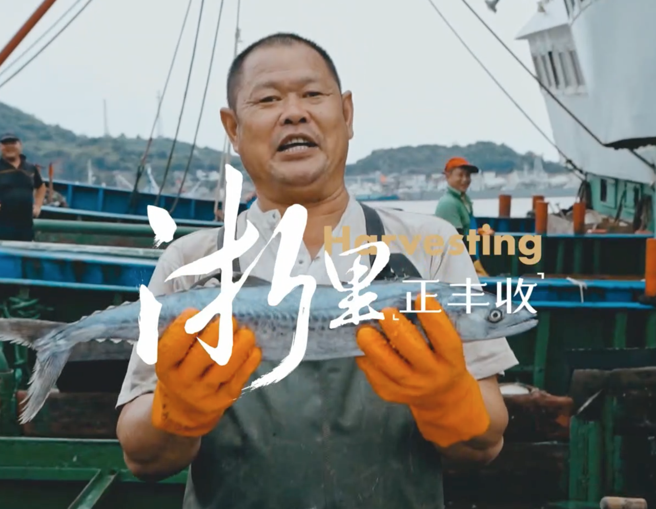 Harvesting in Zhejiang