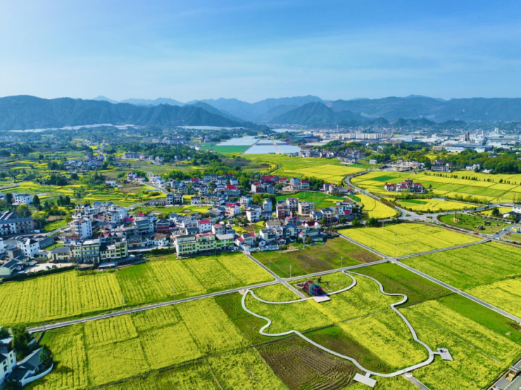 Explore the new path of rural revitalization in Zhejiang