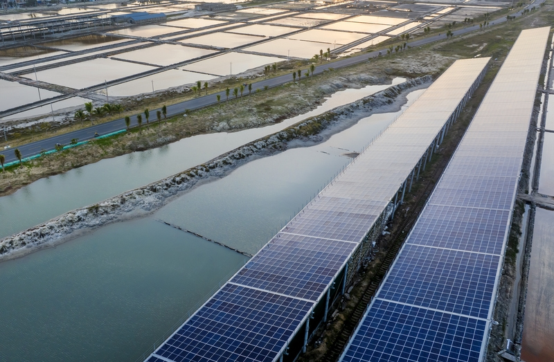 Zhejiang drives green electricity