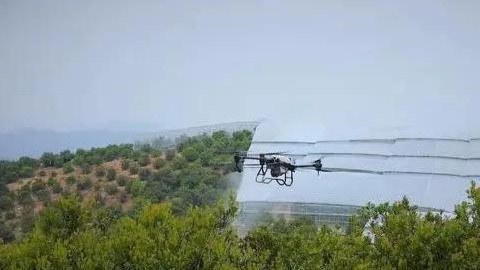 Green technologies and electric farm equipment propel rice harvest in Lanxi