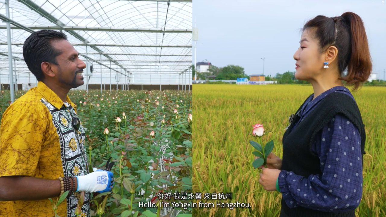 Exploring the Culture of Quzhou: A Journey with Asa and Yongxin