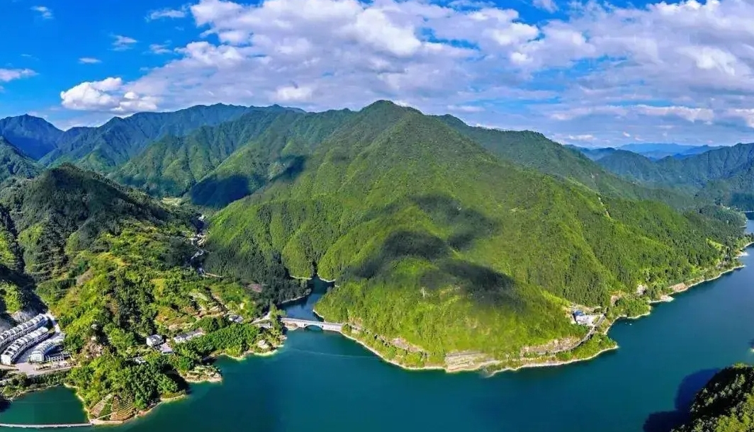 Quzhou reveals rich biodiversity inventory
