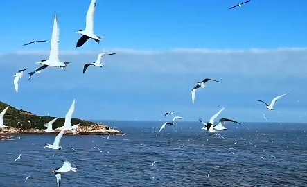 British environmentalist witnesses recovery of endangered bird