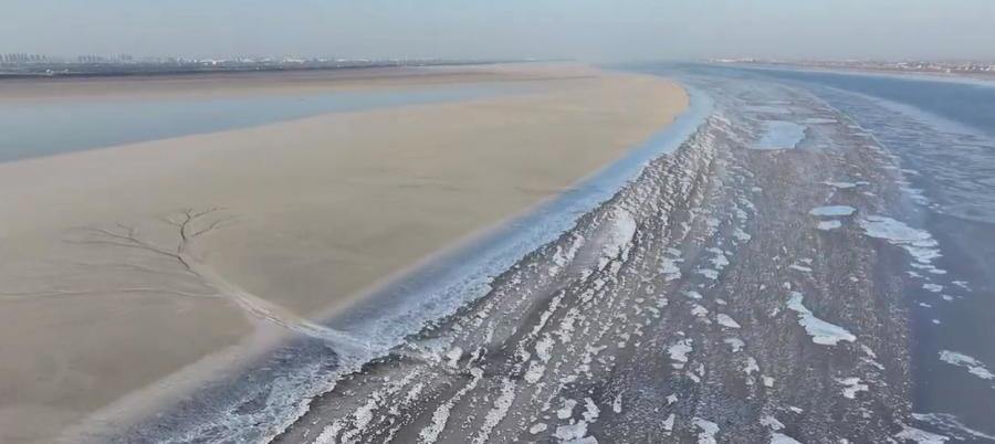 'Tidal trees' frozen on Qiantang River