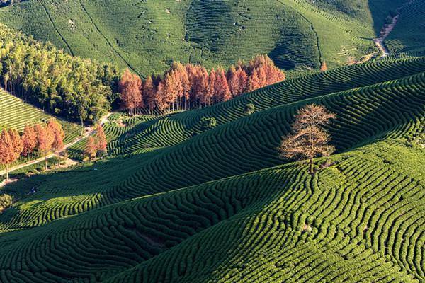 Huzhou's green transformation, innovation over past two decades