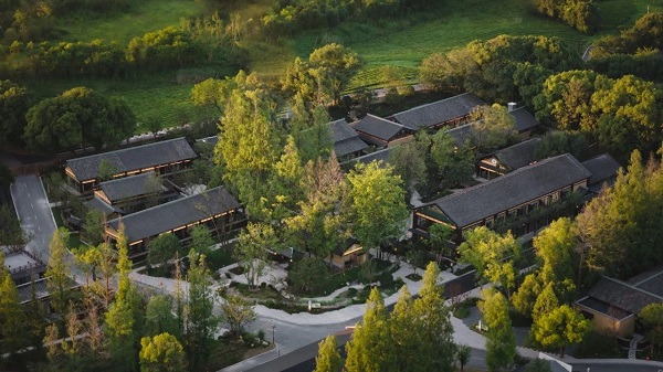 Dream mountain path unveiled at Jingshan Tea Culture Park
