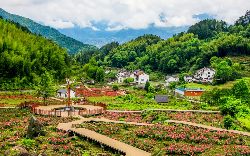 Lishui's Jingning: From foundation to flourishing