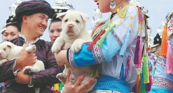 Colorful carnival celebrates diversity