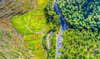 Longquan's Xidu Line among China's most beautiful rural roads