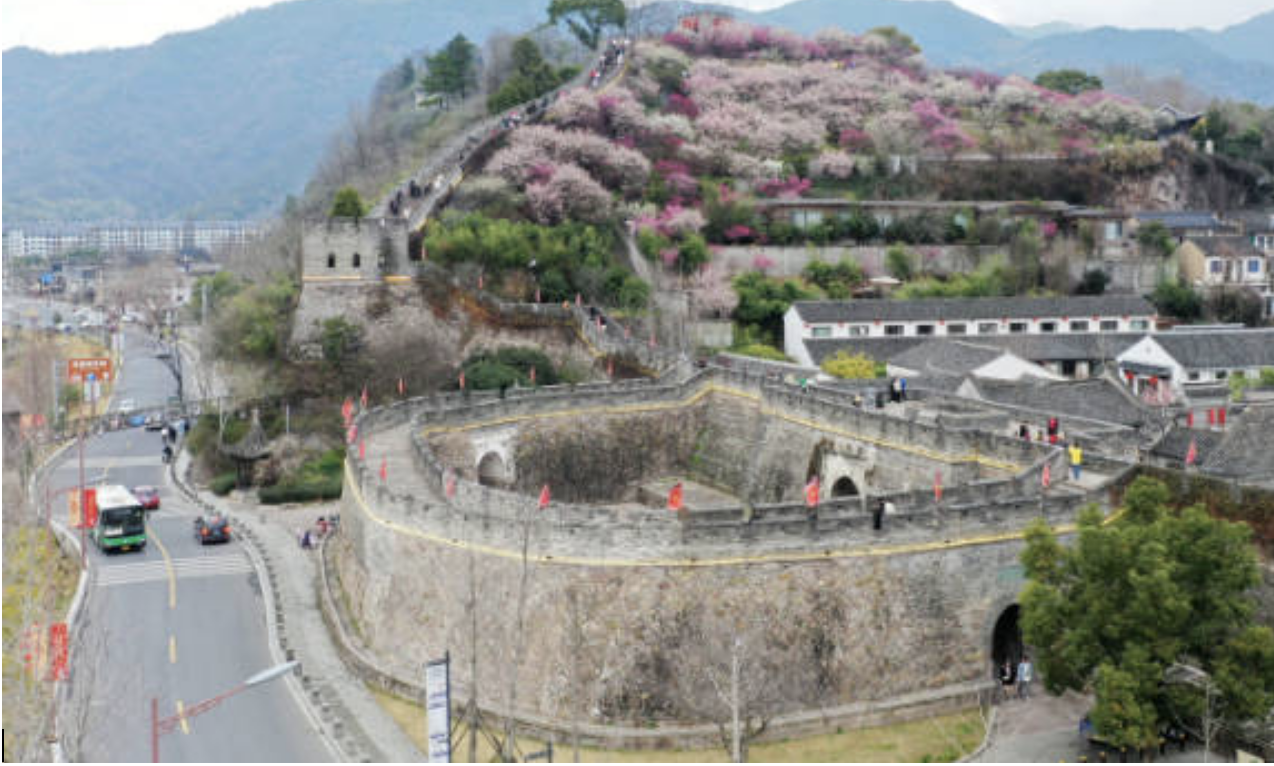 Linhai: Plum blossoms bloom beside the city wall