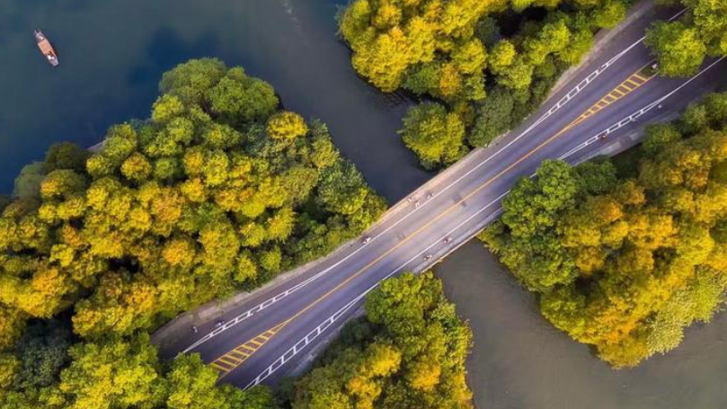 Seven ways to feel Hangzhou's autumn