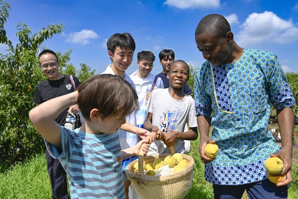 Intl families enjoy Jiaxing Yaozhuang's yellow peach harvest