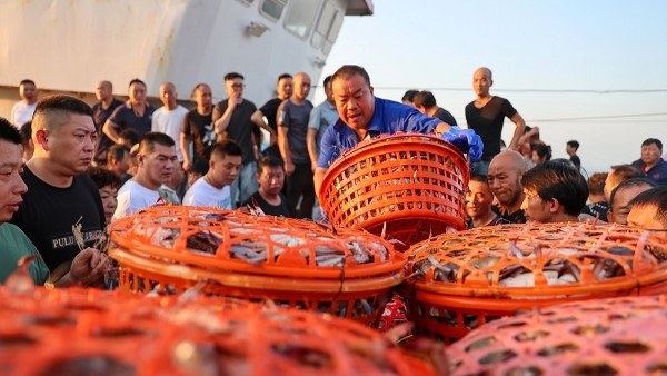 Have you tried Zhoushan's top crab?