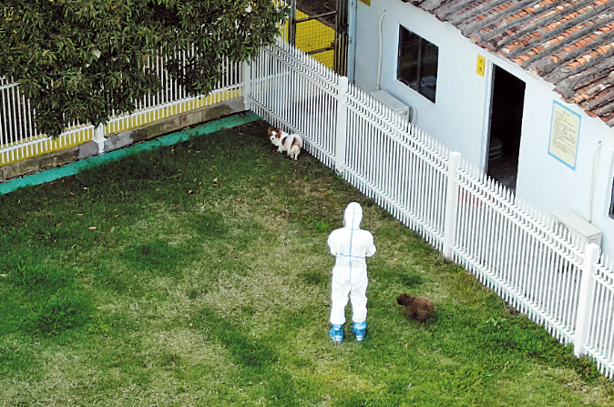 Pets well provided for during pandemic