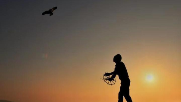 The kite runner on island