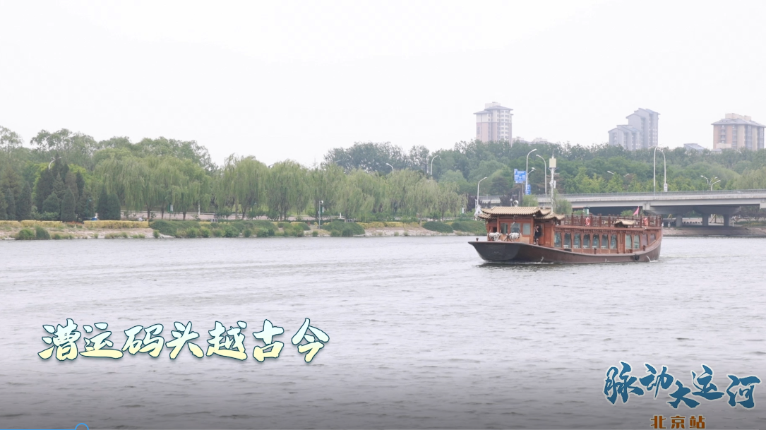 Rhythms of the Grand Canal丨Dock connects past and present