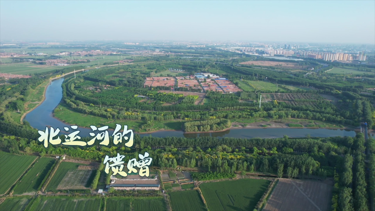 Rhythms of Grand Canal丨The gift of the canal